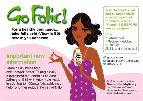 Folic Acid For Pregnancy : Prenatal Vitamins Explained: Folic Acid ...