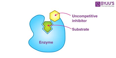 Competitive Enzyme Inhibitor Is A Molecule That Bind Stock Vector By ©edesignua 279348486 ...