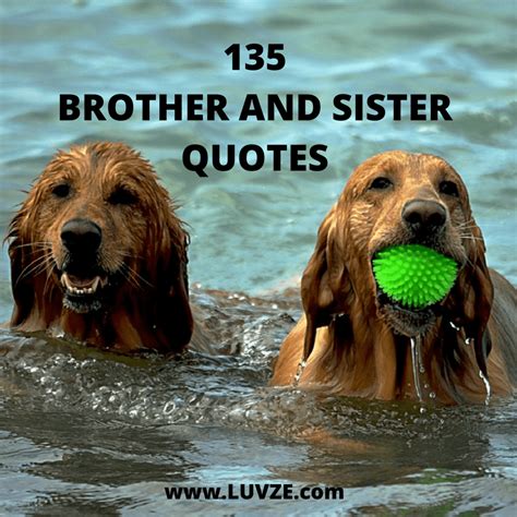 135 Cute Brother Sister Quotes, Sayings and Messages (2023)