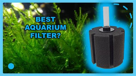 How to set up a sponge filter | BEST AQUARIUM FILTER - YouTube