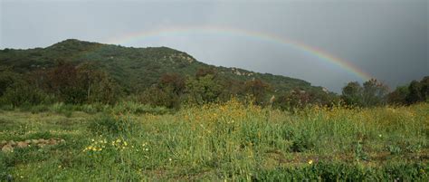 Laguna Coast Wilderness Park and Hiking Trails - Irvine Ranch Natural Landmarks