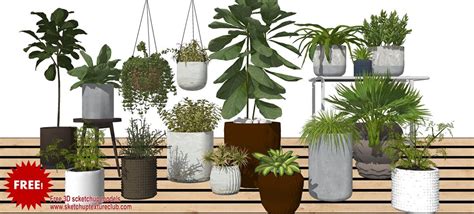 Free 3D Models - VEGETATION - 17 SketchUp 3D plants in pots collection #3 - by SketchUp Texture Team