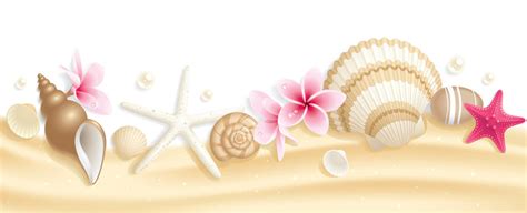 「Seashell Border」の写真素材 | 26,208件の無料イラスト画像 | Adobe Stock