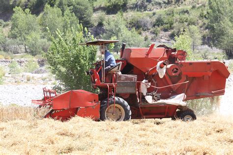 Red combine harvester at work, somewhere in Europe | Combine harvester ...