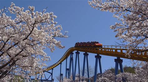 Seoul Land Theme Park Discount Tickets in Gyeonggi-do - Klook