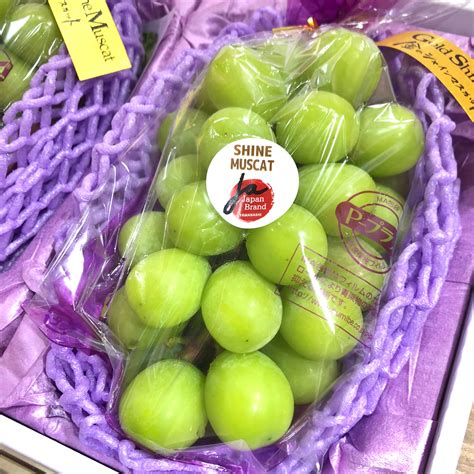 Japanese Shine Muscat Grape Gift Box (1.2kg) — MomoBud