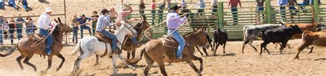 Saddle Mule Auction - Jake Clark Mule Days, Ralston WY