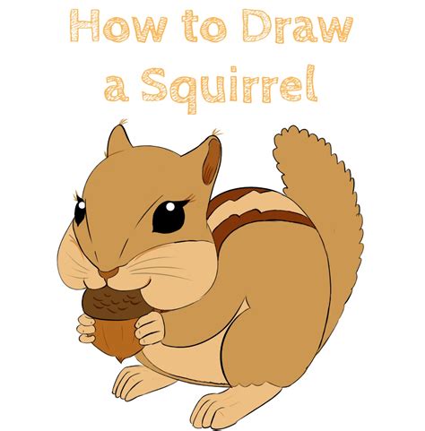 How To Draw Squirrel Easy