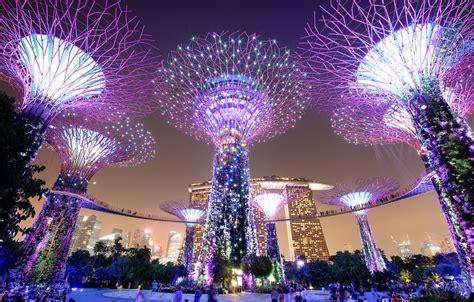 Wallpaper night, lights, Singapore, megapolis, Singapore, Marina Bay Sands, Gardens by the Bay ...