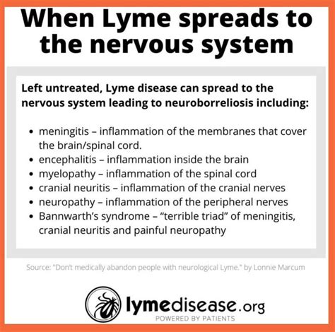 LymeDisease.org on Instagram: “Neurological Lyme disease symptoms are largely invisible and ...