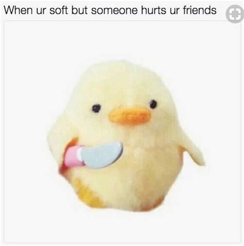 33 spot on friendship memes you should send to your best pal immediately – Artofit