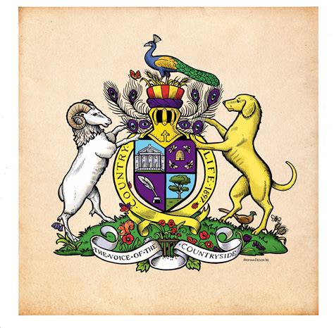 Heraldry Design You Own Coat Of Arms Teaching Resourc - vrogue.co