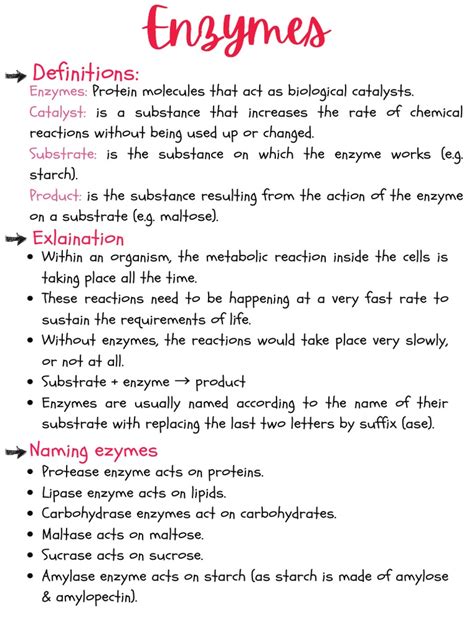 Enzymes Notes | PDF | Enzyme | Active Site