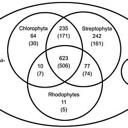 EST analysis of the scaly green flagellate (Streptophyta): Implications ...