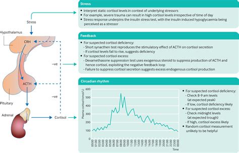 Investigating cortisol excess or deficiency: a practical approach | The BMJ