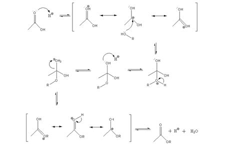 Fischer esterification - wikidoc