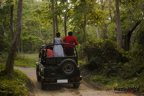 Kaziranga Jeep Safari Online Booking | Kaziranga Adventures