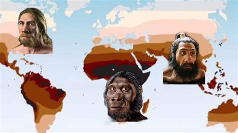 The Evolutionary Story of Human Skin Color Diversity - YouTube