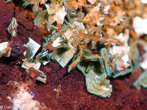 TORBERNITE Mineral Specimen For Sale