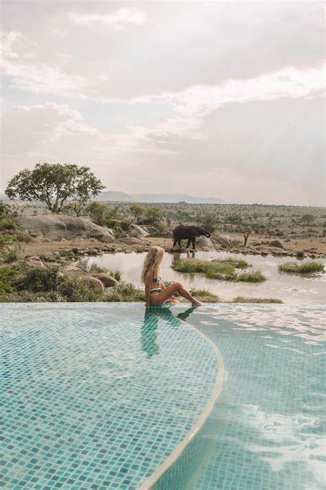 Experience the Best Luxury Safari Lodge in the Serengeti - Brown Eyed ...