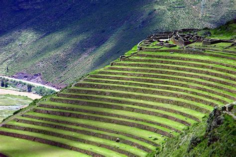 Evolución de la agricultura en el Perú