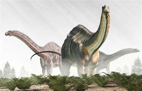 Brontosaurus: reinstating a prehistoric icon | Natural History Museum