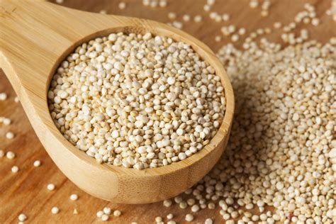 Answers to Your Questions about Quinoa - SlendHer