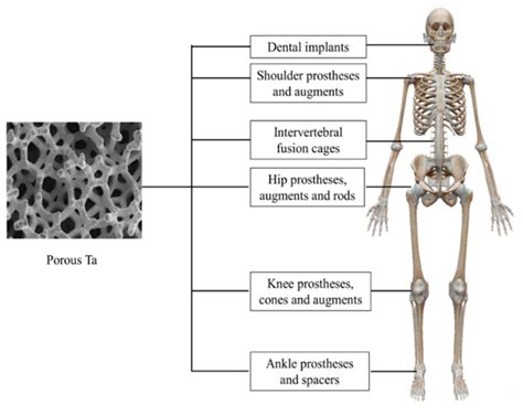 Materials | Free Full-Text | Advancements in Additive Manufacturing of ...