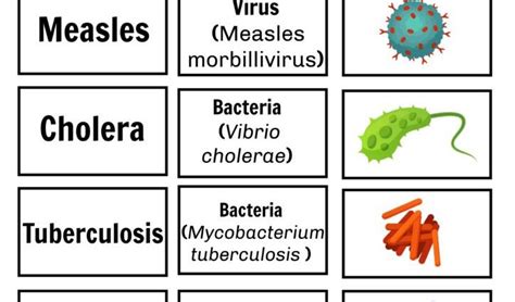 Pathogen – what is it? Viral pathogens, bacterial pathogens and ...