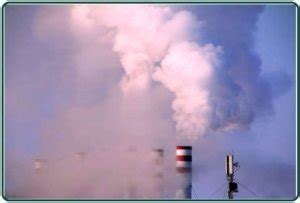 What Is Thermal Pollution? | Causes of Thermal Pollution | Effects of Thermal Pollution ...