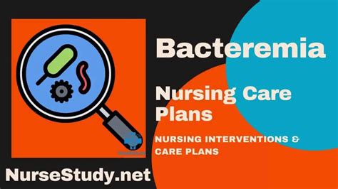 Bacteremia Nursing Diagnosis & Care Plan - NurseStudy.Net