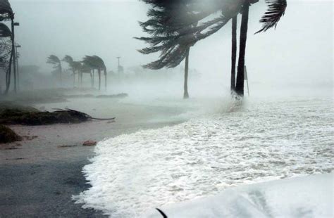 Top 5 Tips to Storm Damage Cleanup after a Hurricane