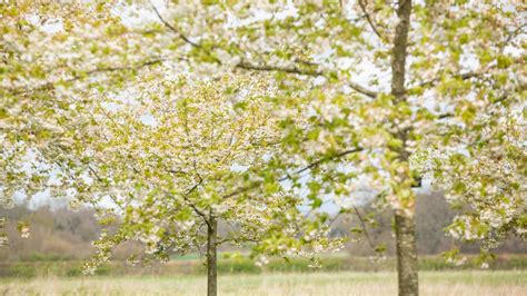 Worcestershire & Herefordshire countryside | National Trust