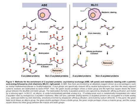 proteomics-bioinformatics-enrichment