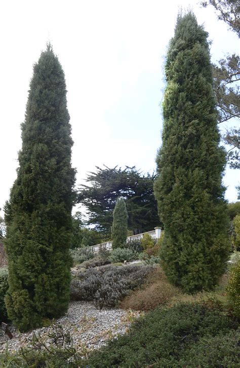 Hot plants, cold temperatures | Dunedin Botanic Garden Official Website