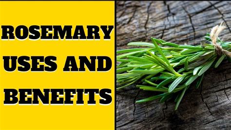 Rosemary Uses And Benefits - YouTube