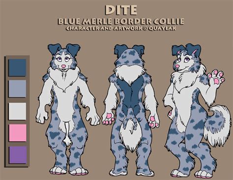 Dite Fursuit Reference Sheet by Quaylak on DeviantArt