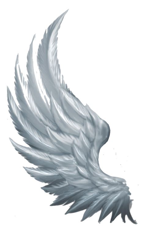 Wings Angel - PNG All | PNG All