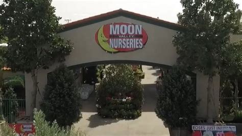 Moon Valley Nurseries looking to hire team members for Las Vegas locations | KLAS