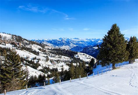 View on Mt. Rigi in Switzerland in Winter Stock Photo - Image of view, snow: 82017822