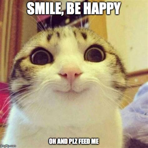 Smiling Cat Meme - Imgflip