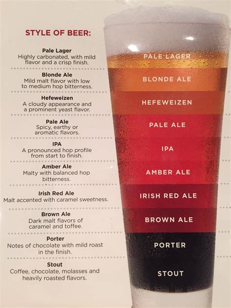 Beer Styles Guide | TFE Times