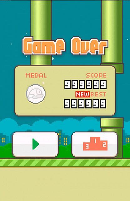 My flappy birds high score