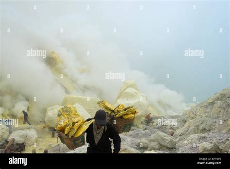 Miners carrying sulfur amid sulfur gas, Ijen volcano, East Java ...