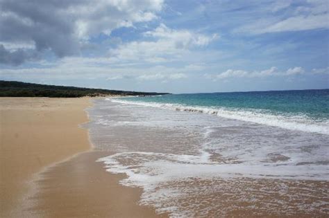 Polihua Beach (Lanai) - 2021 All You Need to Know BEFORE You Go (with Photos) - Tripadvisor