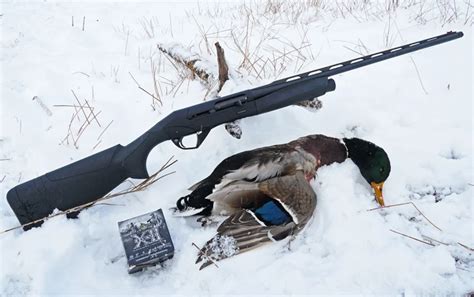 The Benelli Super Black Eagle 3 12GA 28: The Perfect Waterfowl Shotgun ...