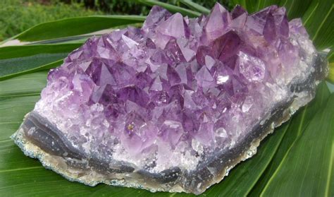 4 Crystals for "Protection" From Negative Energy - Hibiscus Moon