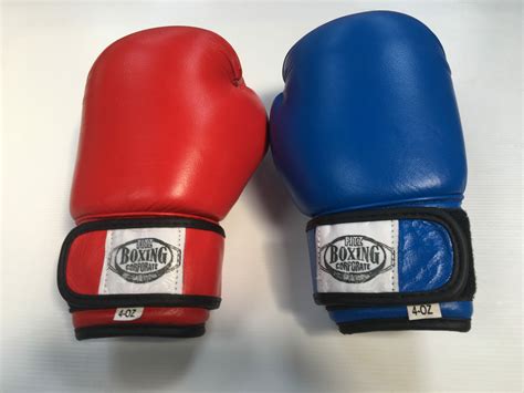 Leather Boxing Gloves 4 oz - Christchurch Martial Arts