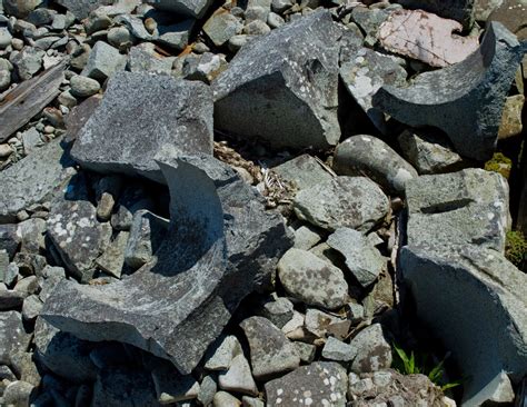 Mountain and Sea Scotland: Light and heavy stones at Ailsa Craig