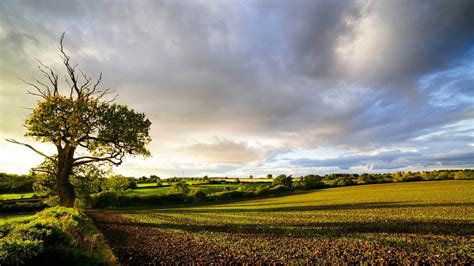 English Countryside Wallpaper (48+ pictures) | Landscape wallpaper ...